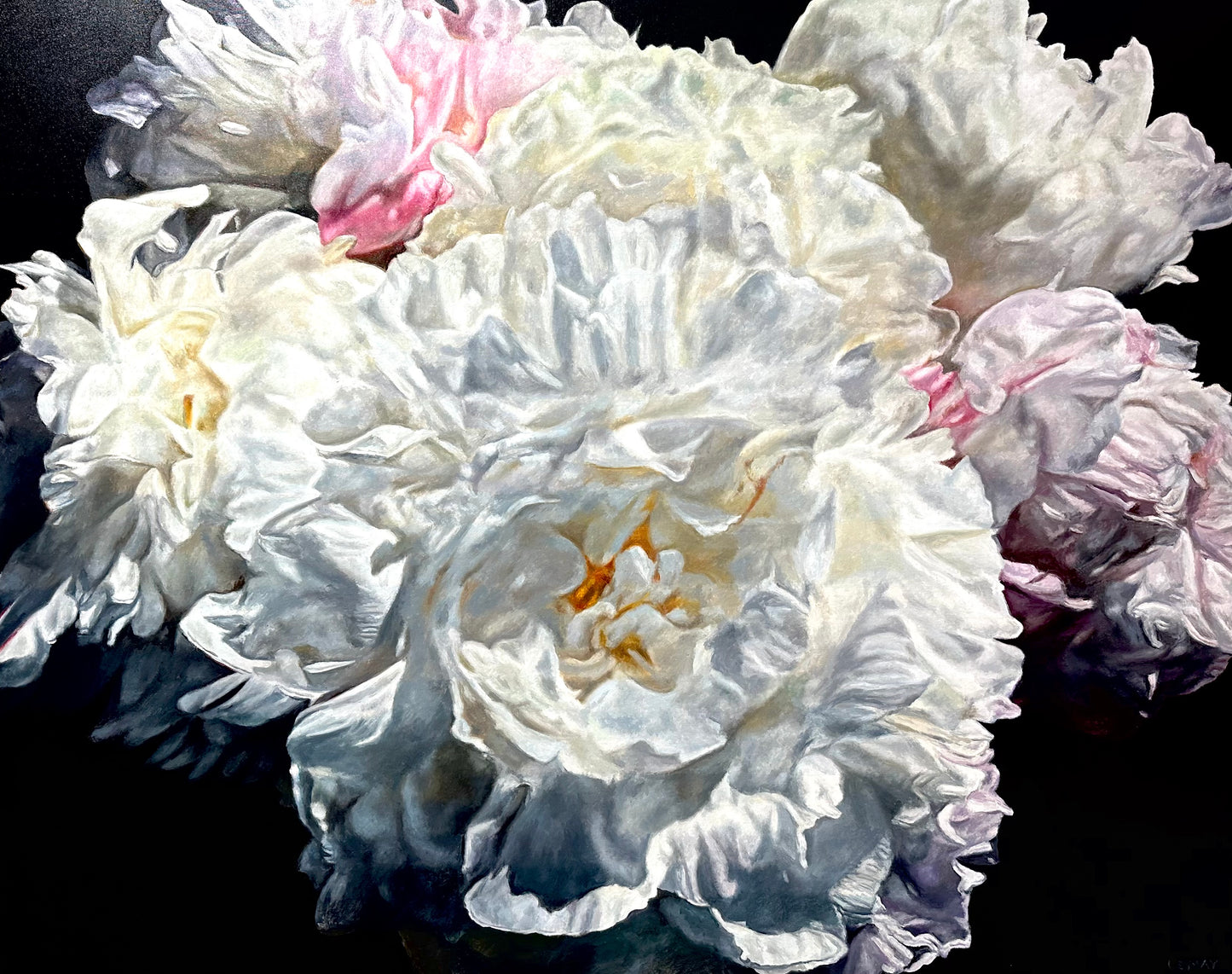 Chrysanthemum
