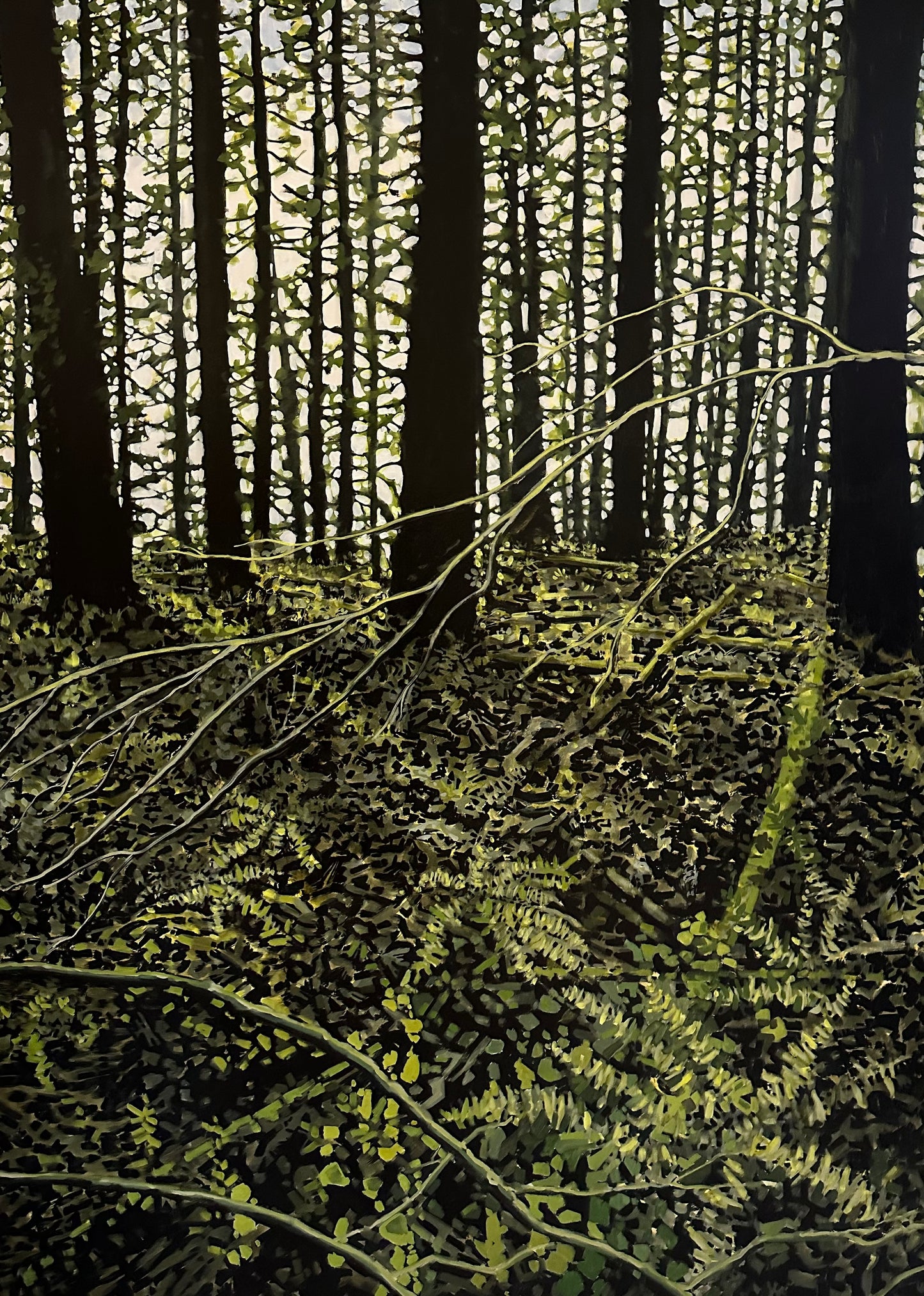 Wooded