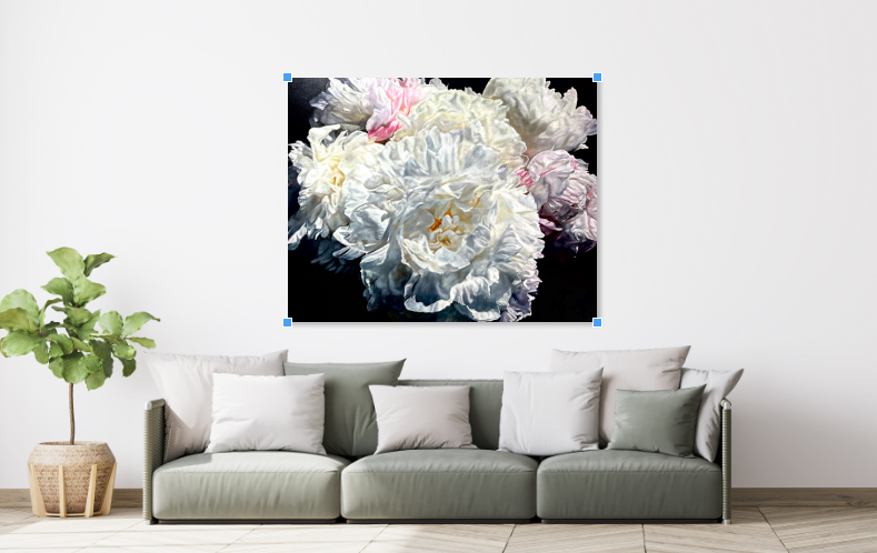 Chrysanthemum