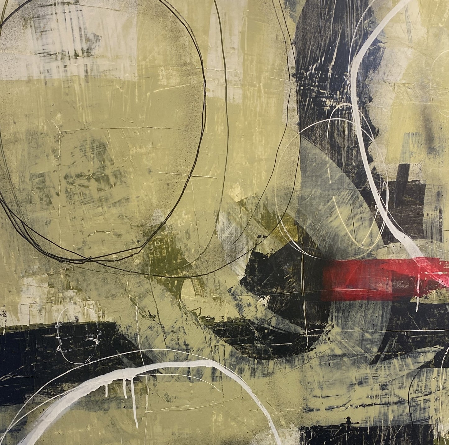 Circles Circles
